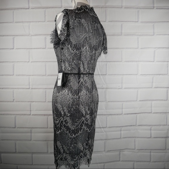 NWT Adrianna Papell sz 4 pewter/black lace dress - Picture 5 of 8